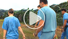 Trailer video